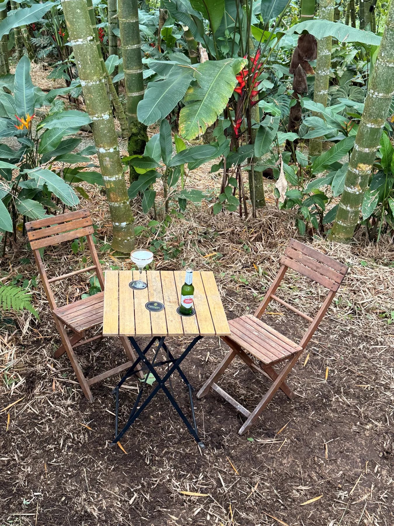 Folding table and wooden chairs in a bamboo clearing