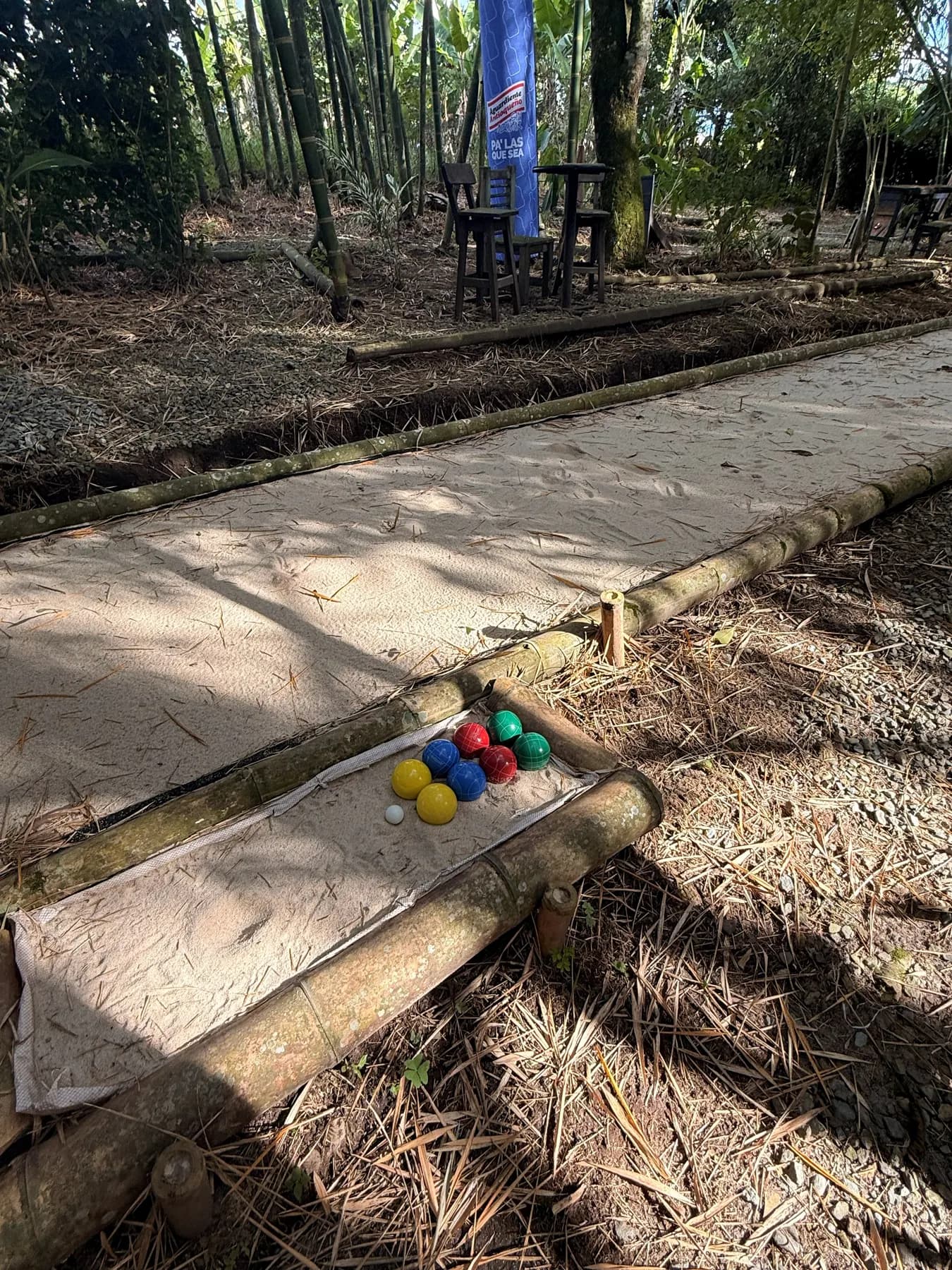 Gravel path between bamboo canes towards the taquería