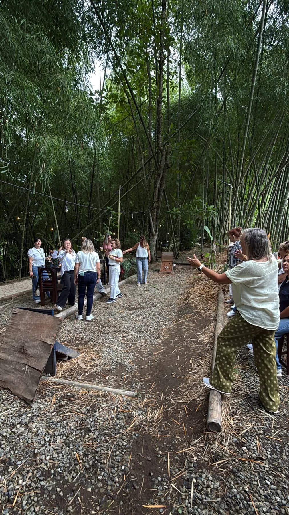 Group walking a gravel path between bamboo canes