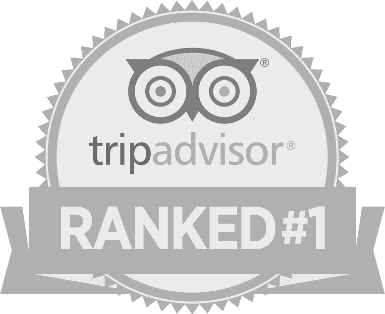 Tripadvisor Ranked #1 rosette badge with the owl mark