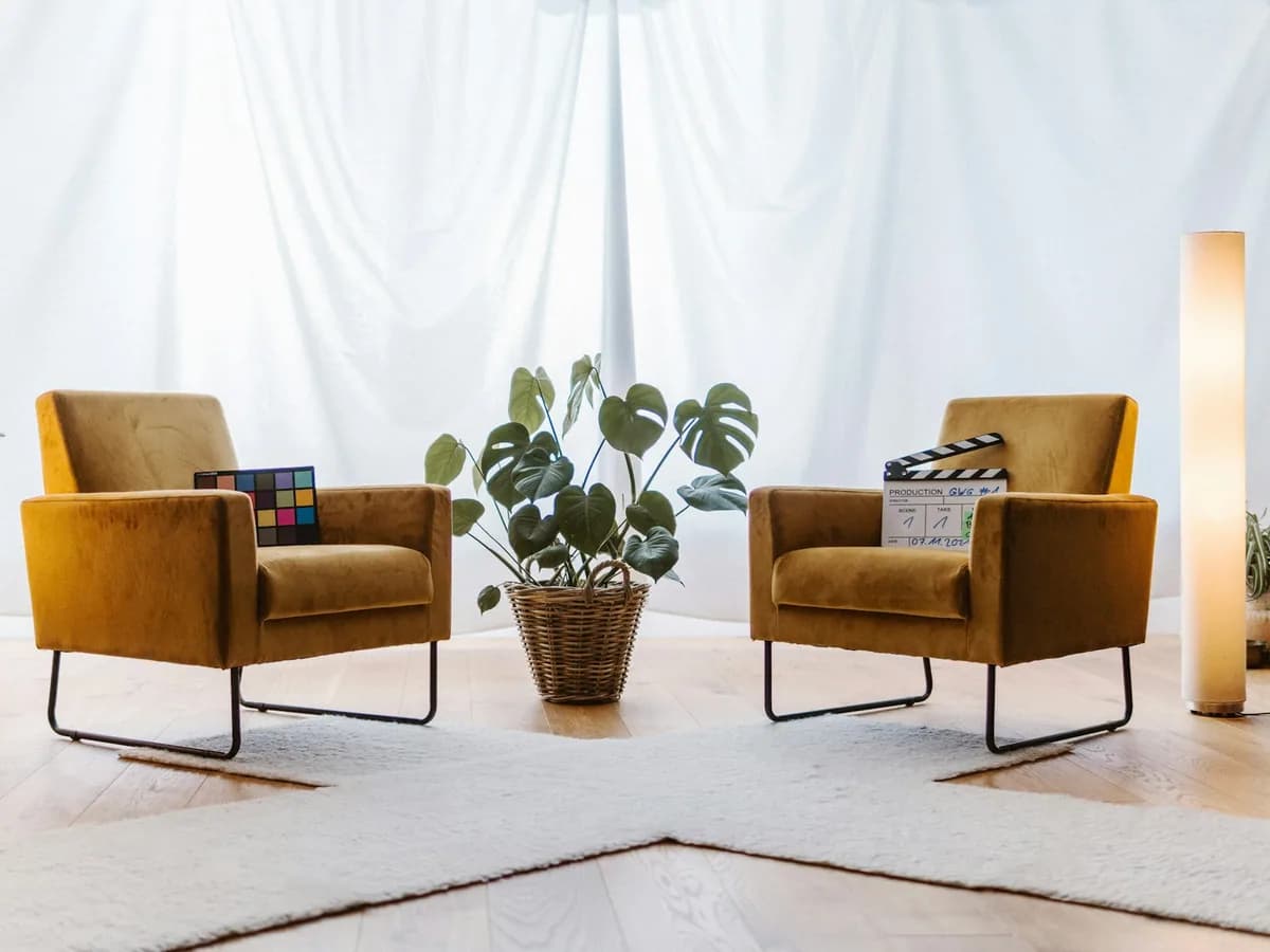 Two armchairs facing each other beside a plant
