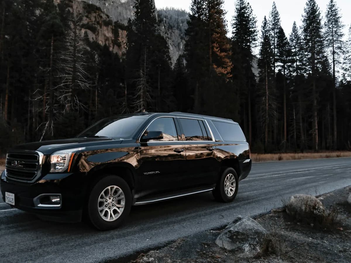 A black SUV on a road among trees