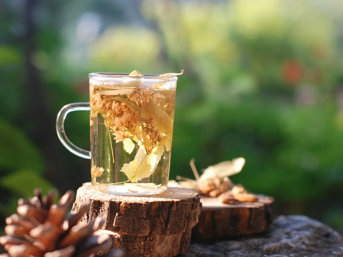 A herbal infusion in a glass