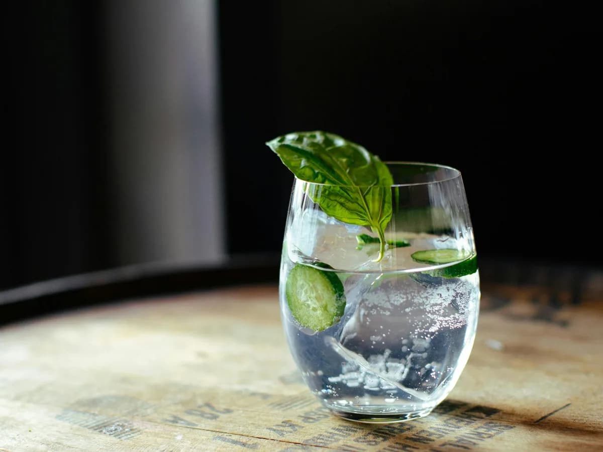 A gin and tonic with lime and basil in a glass