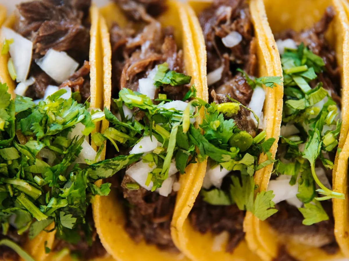 Carne asada tacos with coriander, close up