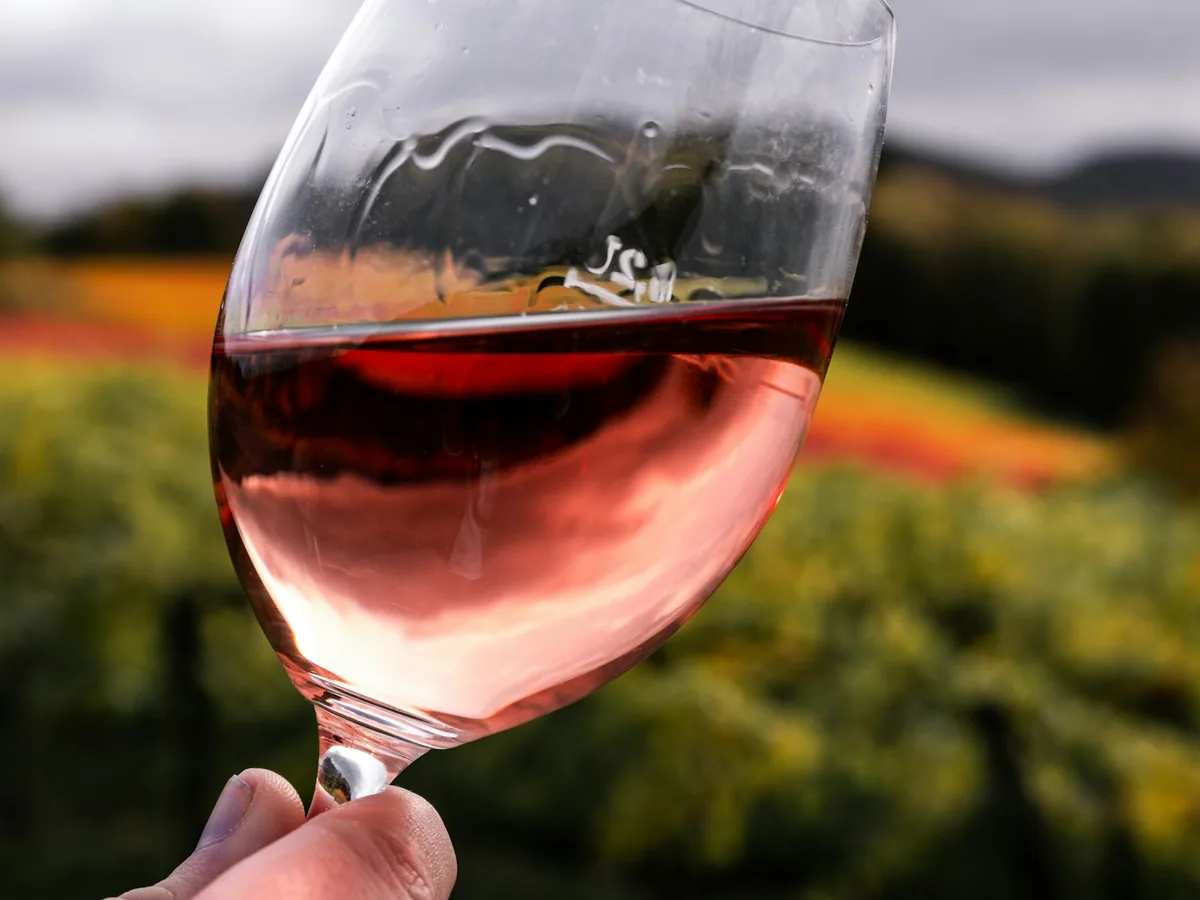 A glass of rosé wine before a vineyard