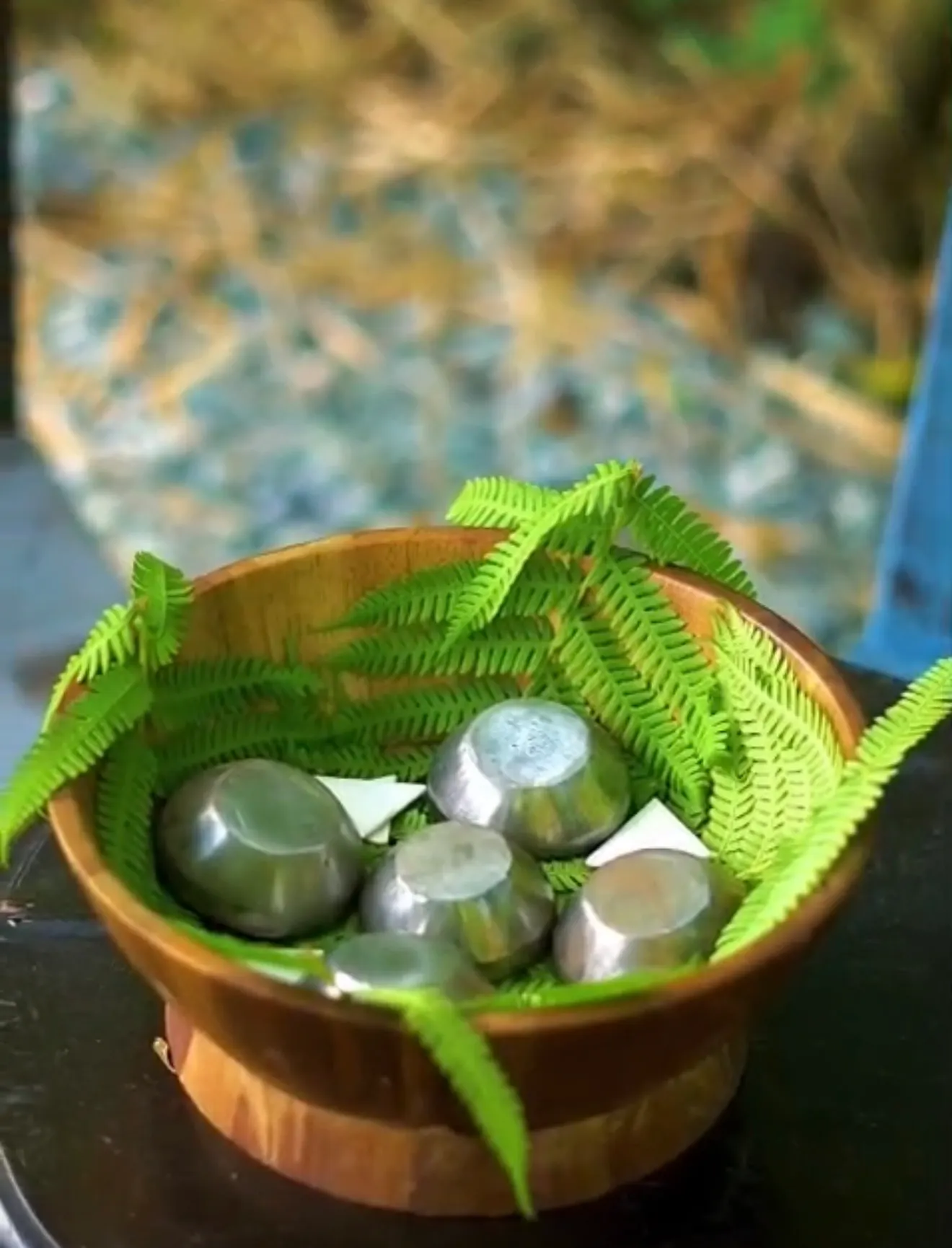 Wooden bowl with tejo discs and green leaves